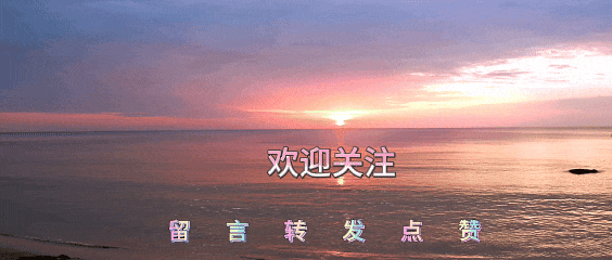 聆听美歌《一路走过来》+歌谱!