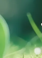 四月如歌,阳光不燥,微风正好