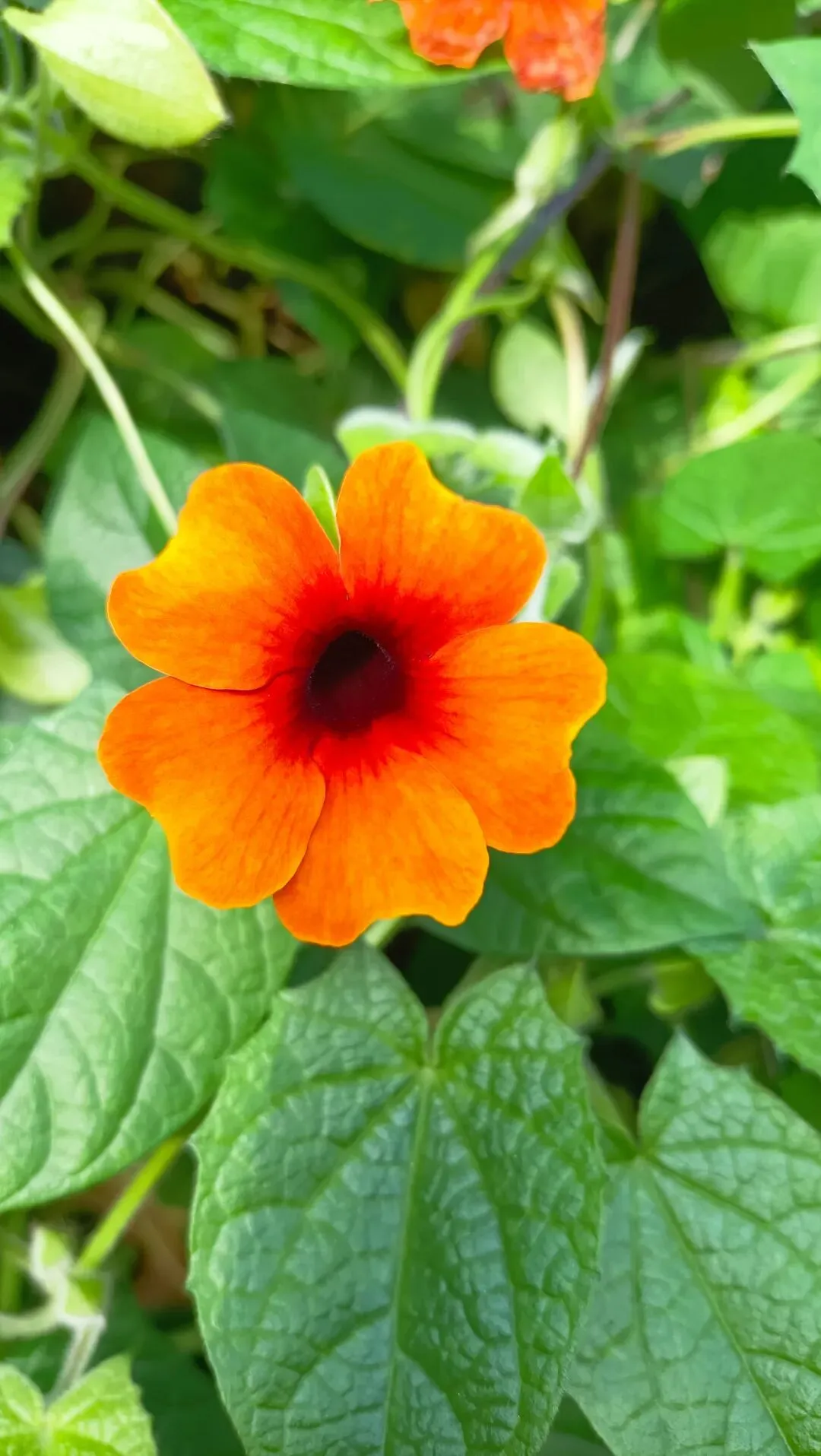 那首歌,你还记得吗