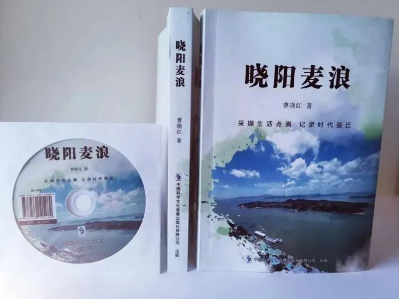 拥有优美诗词歌曲的青春偶像剧小说家-----曹晓红