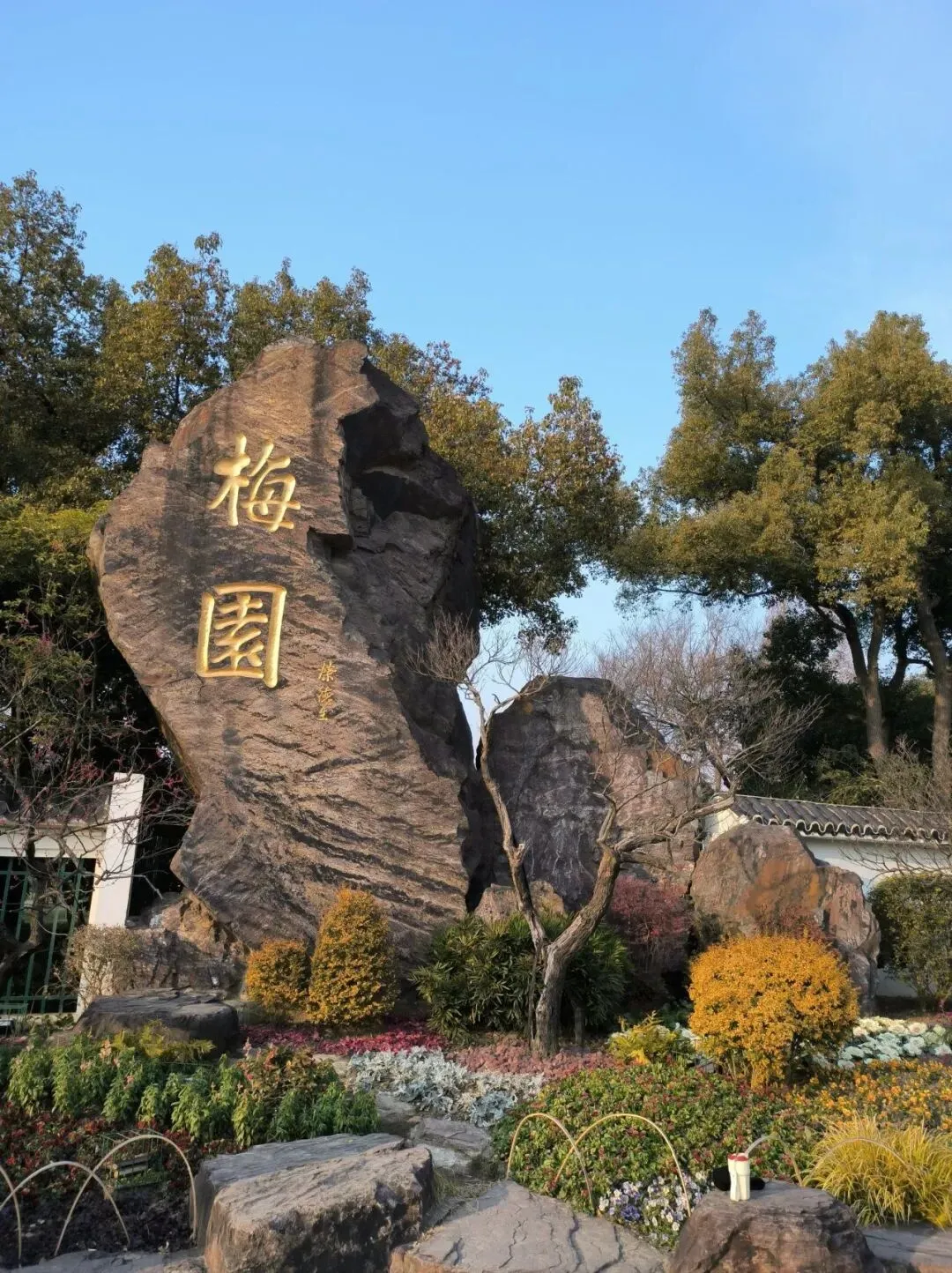 相逢是首歌散文【第617期】‖梅园文化香飘远