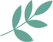 完结推荐《恍若抚弦轻歌》施意桐祁云谦全章节 TXT 完本阅读