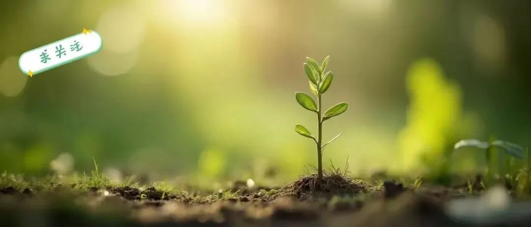 楚狂接舆的歌:《人间世》藏在乱世里的清醒安身智慧