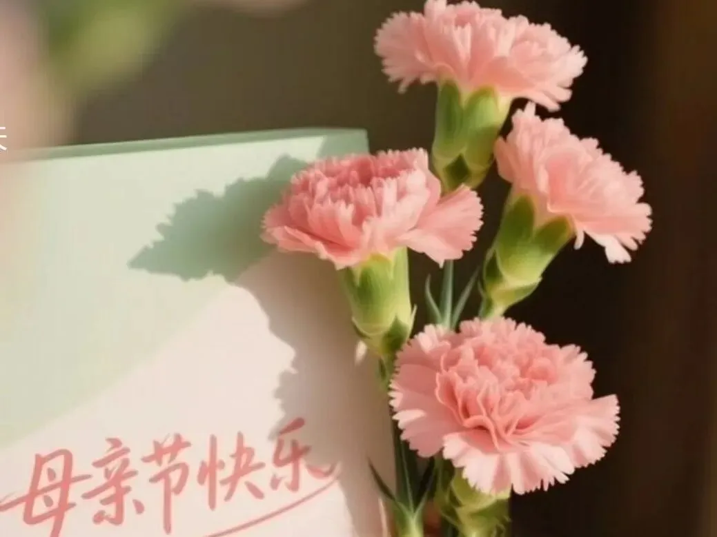 给母亲的歌