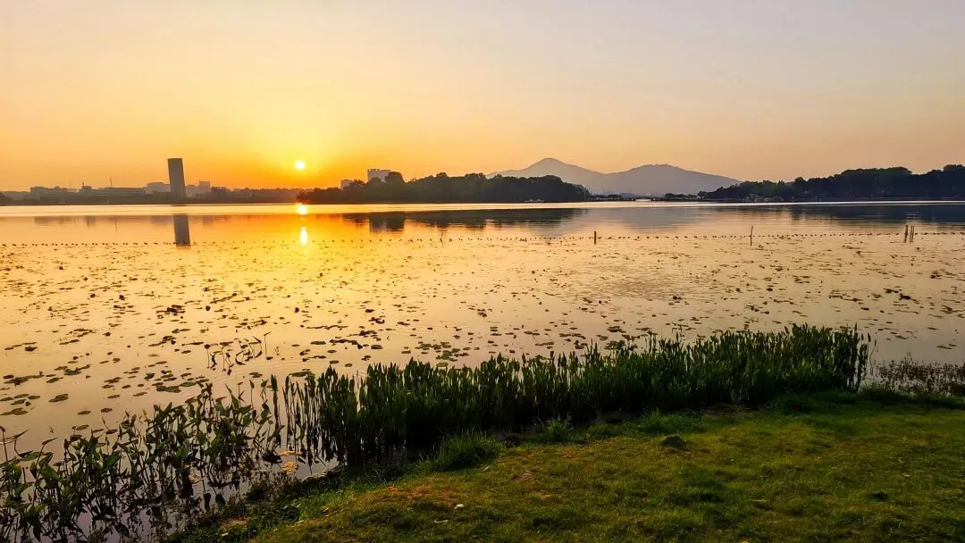 水调歌头·玄武湖晨望