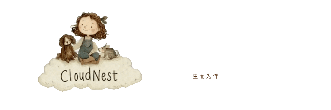 《海洋之歌》:真正好的电影,不是告诉孩子道理,而是让他开始感受世界