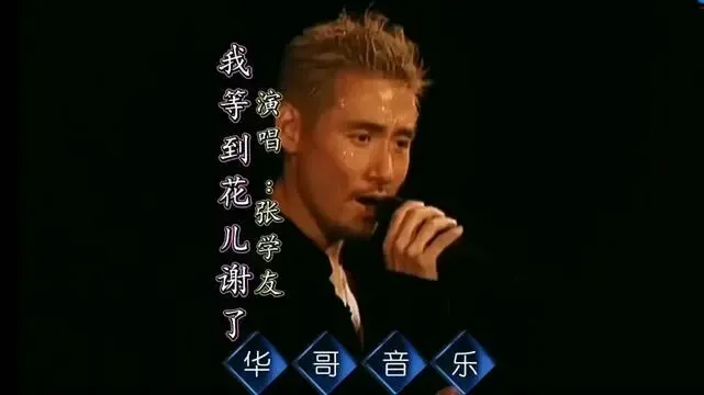 歌曲背后的故事——《我等到花儿也谢了》