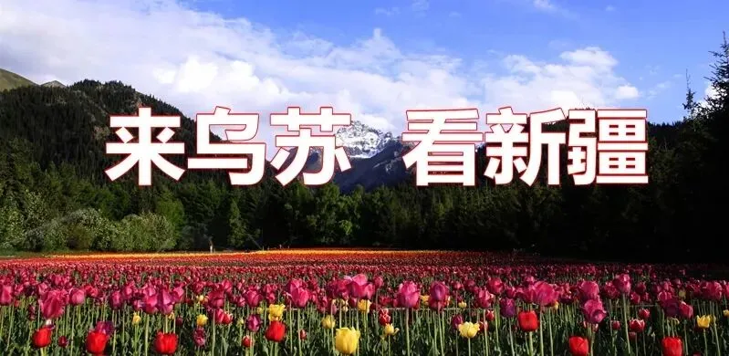 乘着歌声游新疆 :请欣赏歌曲《只有你》