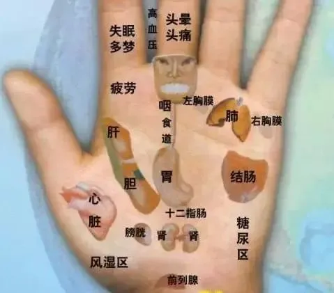 几乎失传的 “ 手诊歌 ”