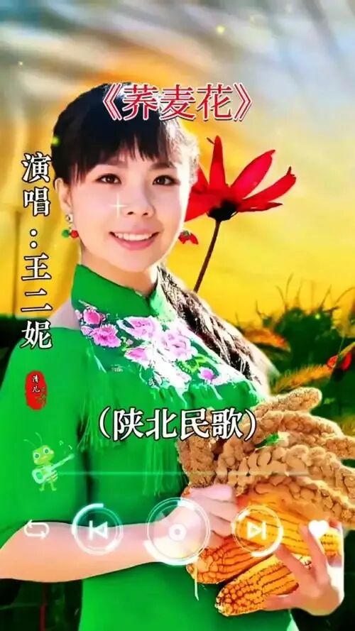 陕西省十大歌经典歌曲简介
