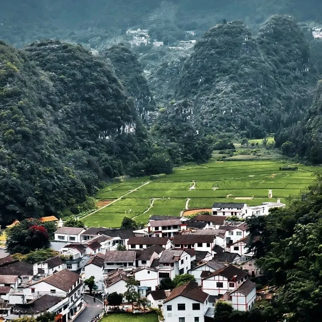 【歌曲歌词】宁清:旅居之歌(歌词)