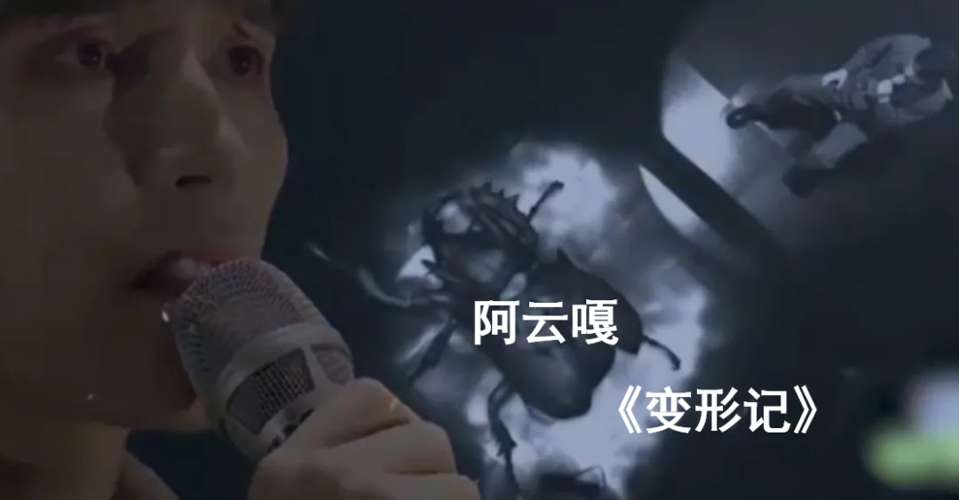一首炸裂的歌曲,阿云嘎《变形记》导入卡夫卡《变形记》