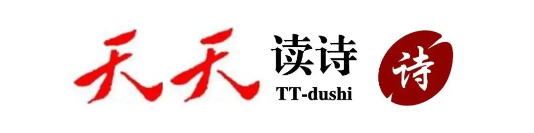 对酒当歌,人生几何 | 曹操《短歌行》