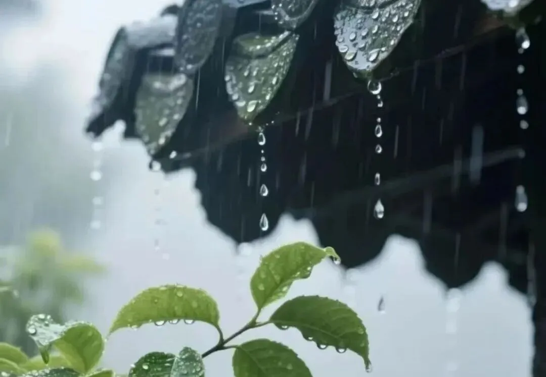 听你唱支歌