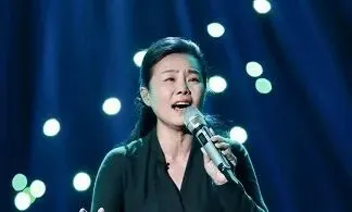 美丽的家乡--龚琳娜演唱歌曲选