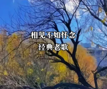 为什么老歌越老越爱听?听完这6首你就懂了
