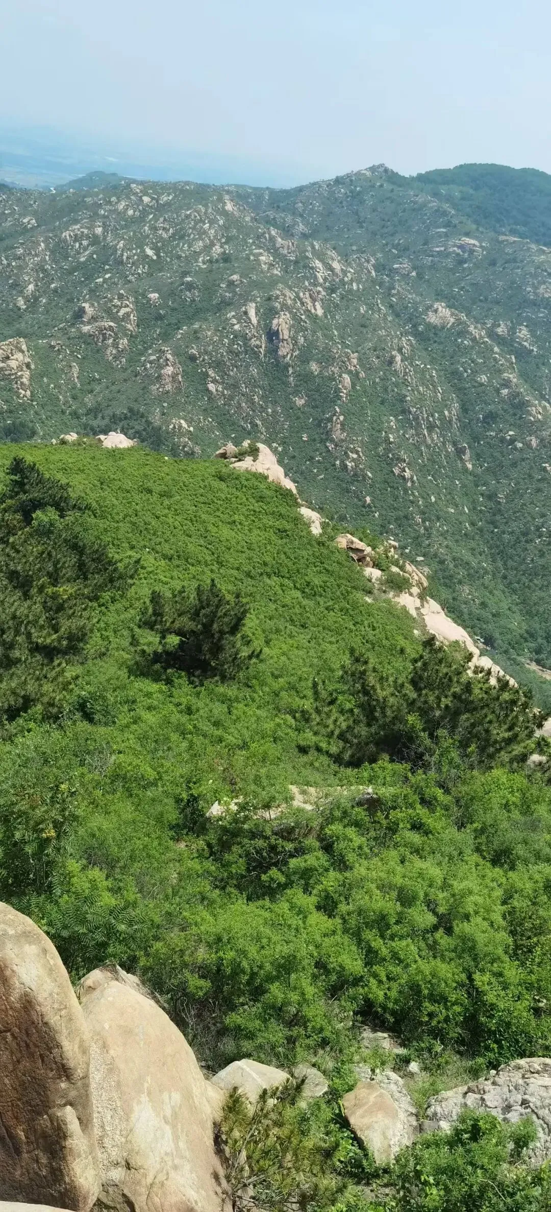 当风长歌:一夜清雨濯尽千山尘色