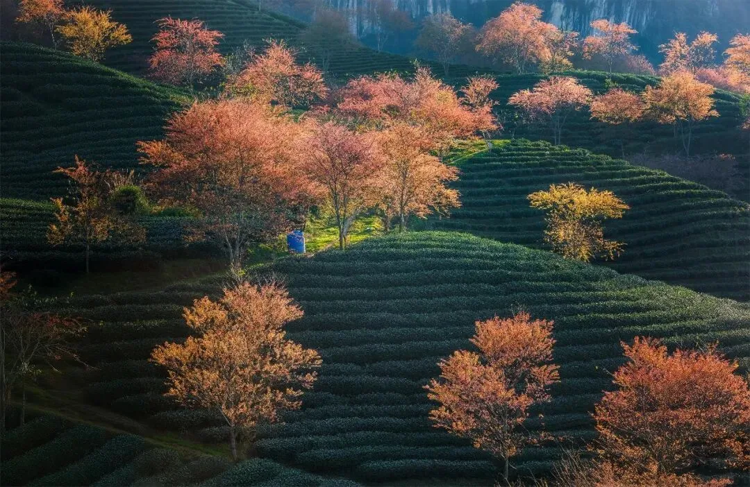 为什么走在路上听见老歌,看着风景就忍不住红了眼眶?
