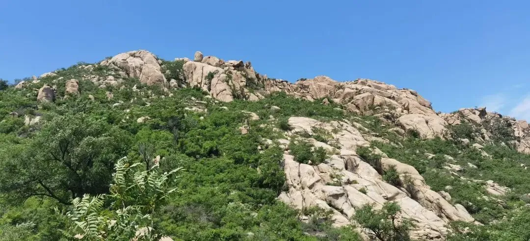 当风长歌:山程已,人程新