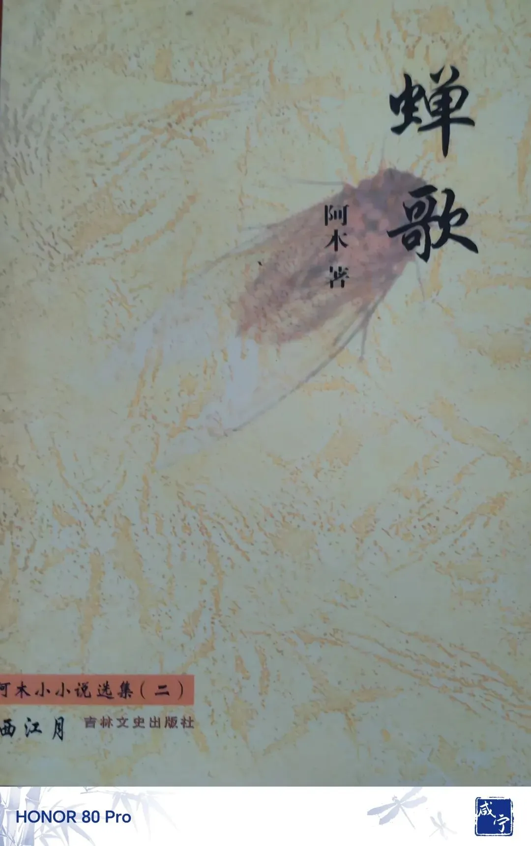 《蝉歌》系列:第12篇
