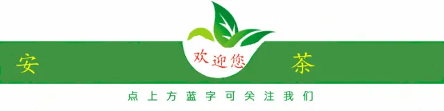 安溪铁观音主题推广歌曲《人生海海铁观音》