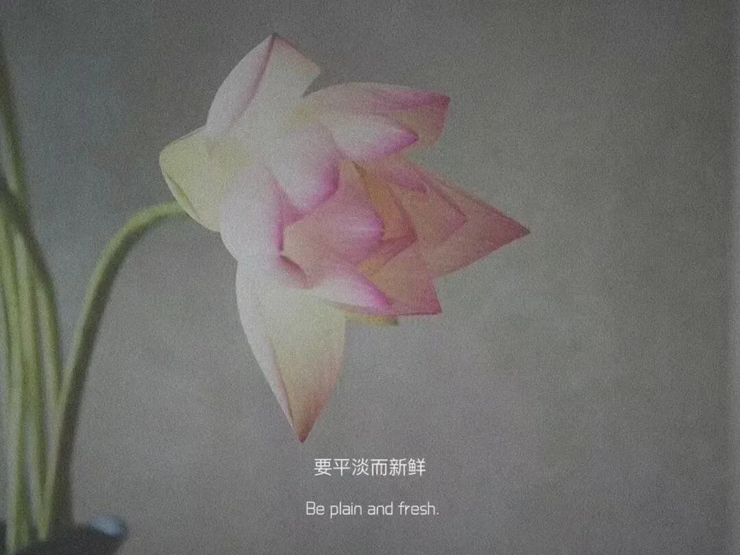 好好背方歌105 | 人参蛤蚧散