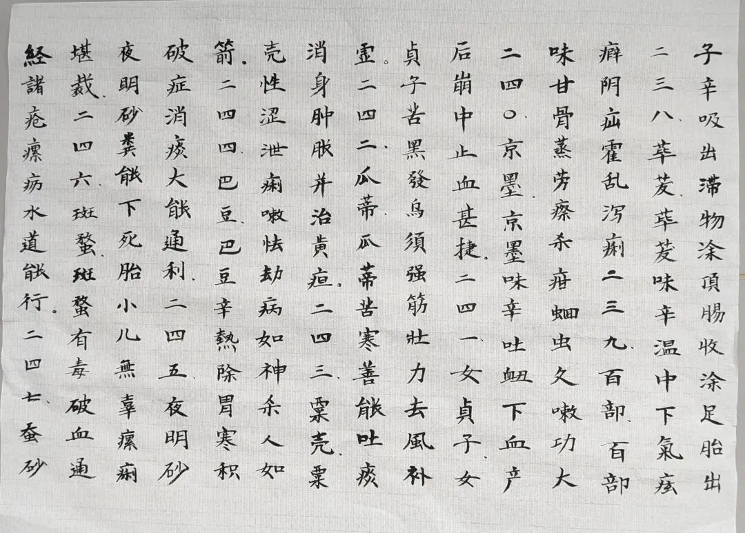抄写《药性歌括四百味》十四
