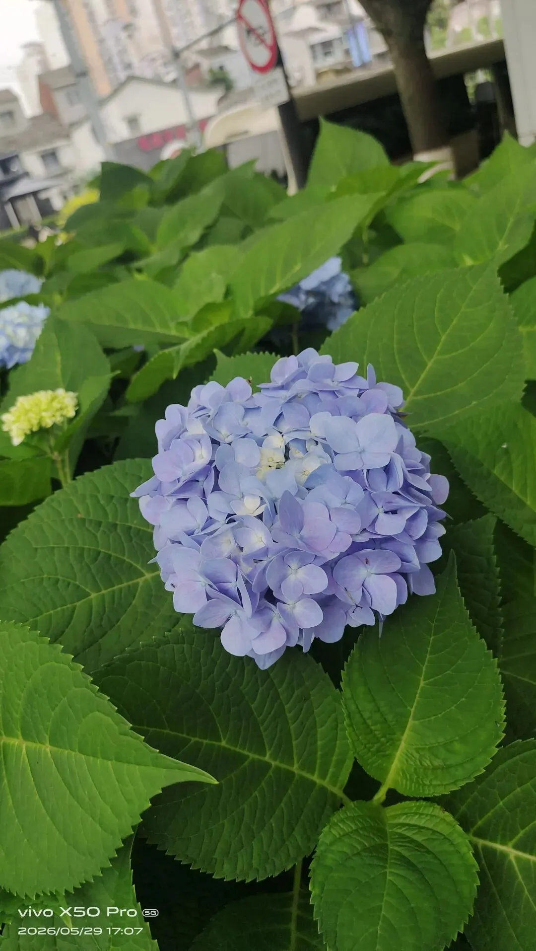 相逢四时歌