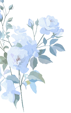 岁月如歌育桃李 芳华永驻启新程