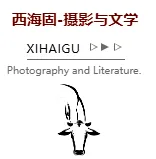 大战场的故事大战唱的歌 之五