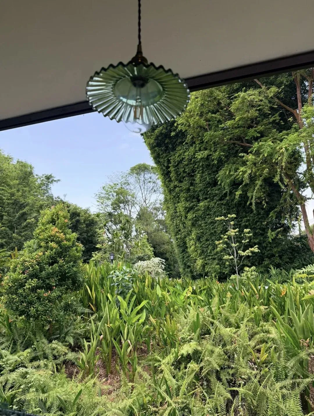 分享一首喜欢的歌