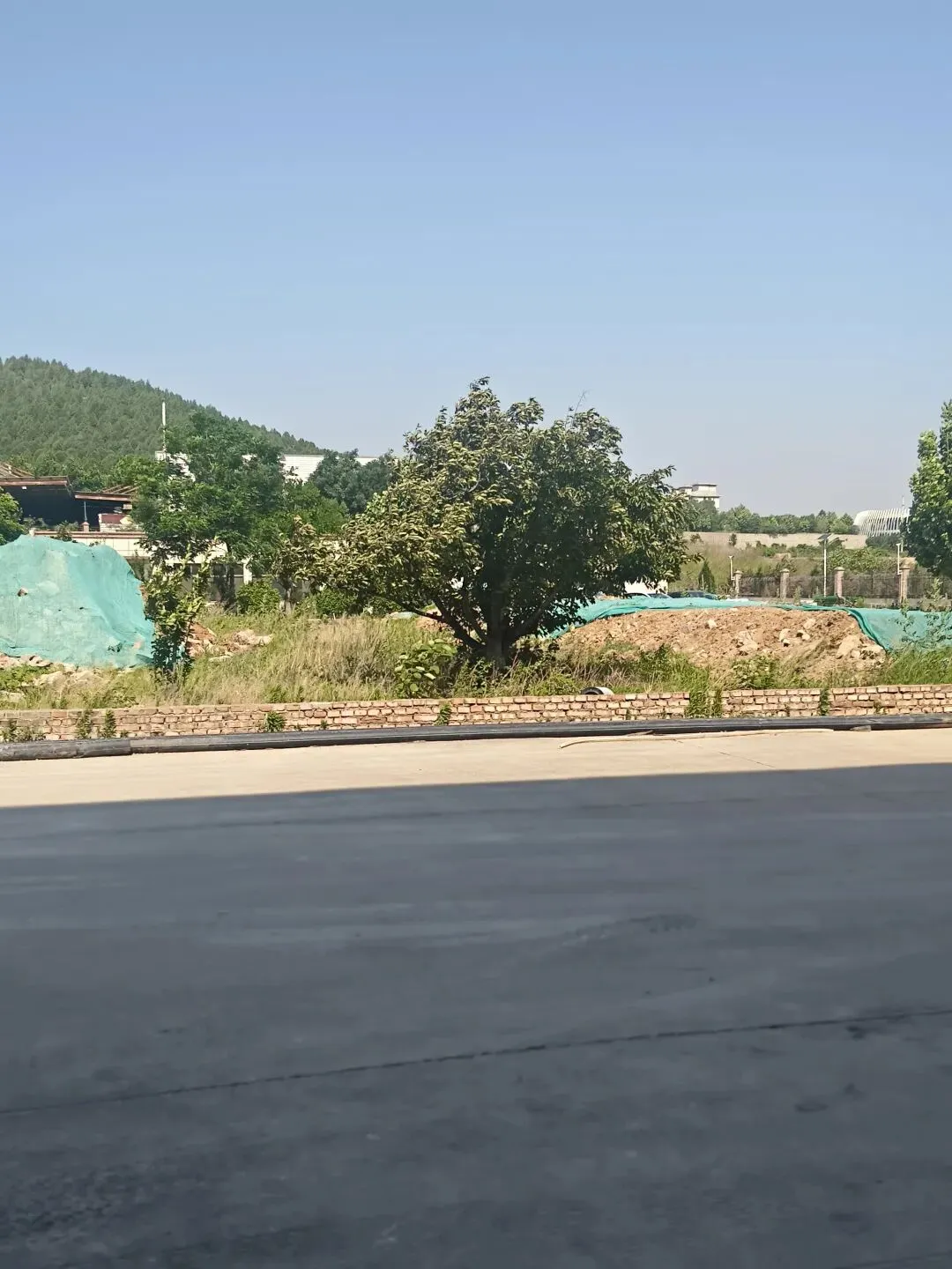 《有没有一首歌会让你想起我》