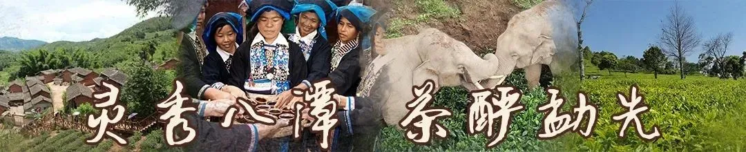 “石榴籽同心 青春歌普洱”青年歌手大赛勐先镇赛区决赛即将开始!