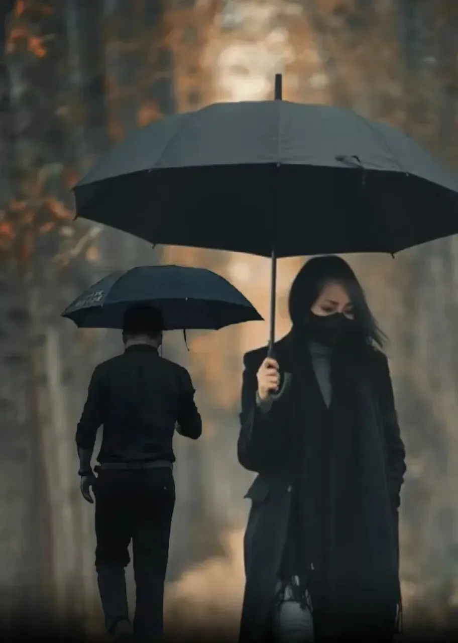 一首歌曲引出的遐想--雨夜听风,忆故人