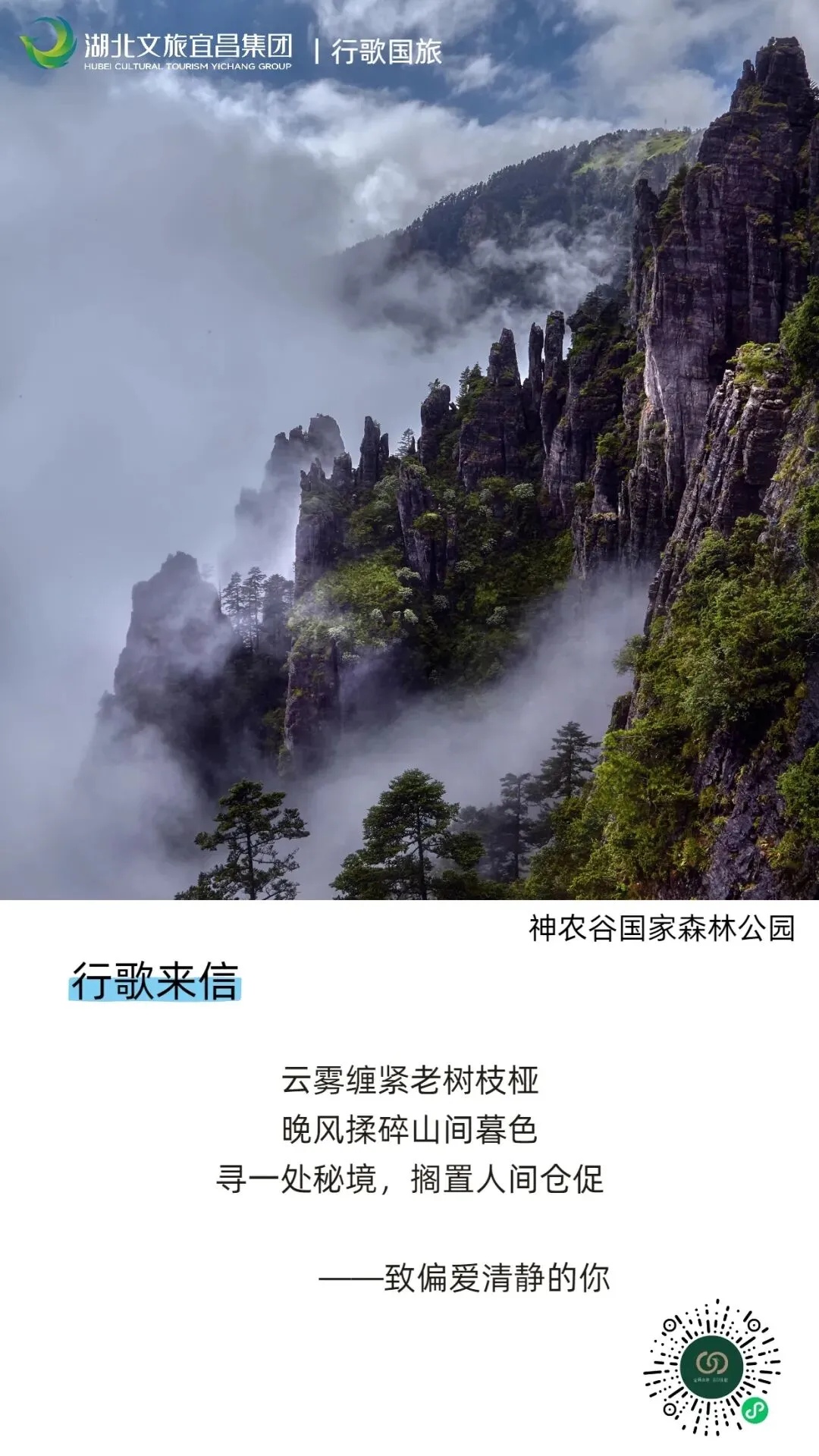 行歌来信丨致偏爱清静的你