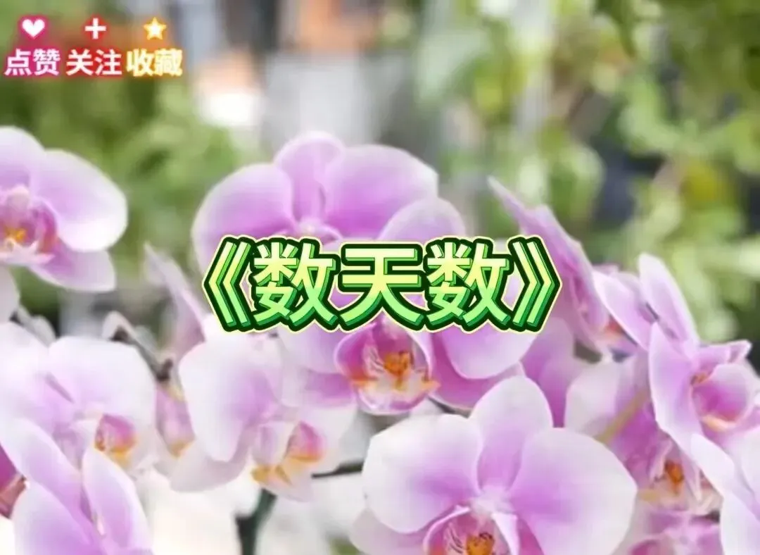 一首老歌道破人生:来日并不方长,活好每一天