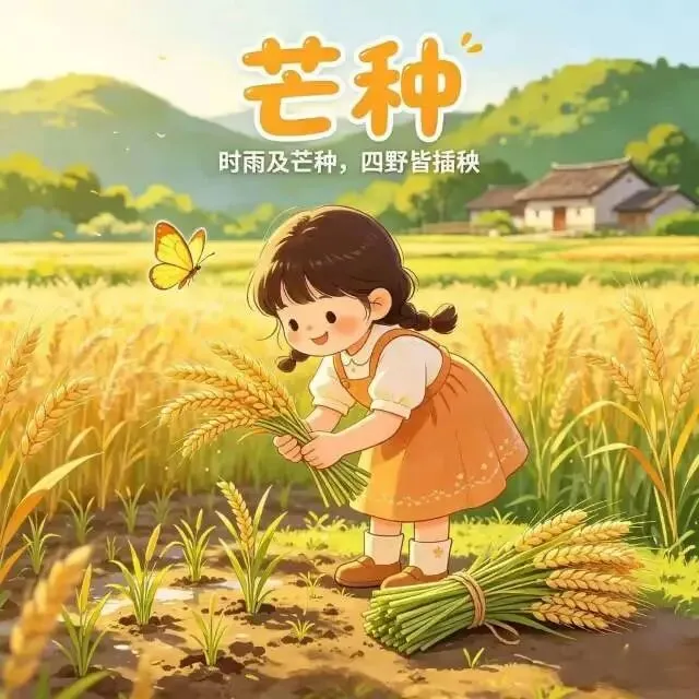 芒种之歌