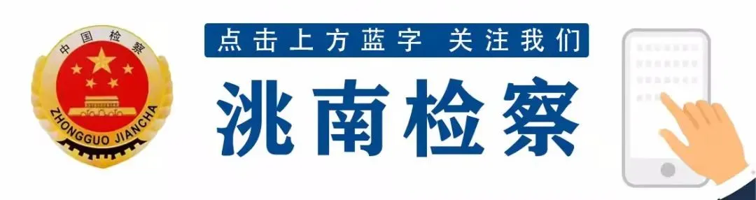 【AI歌曲】《金达莱未检谣》,致敬未检四十年