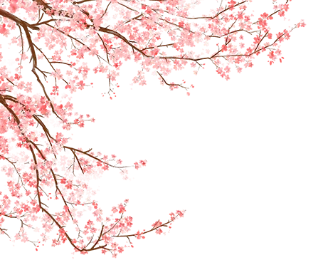 荒里园·节气之歌|风吹麦成浪,蝉鸣夏始忙