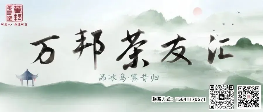 冰与火之歌:芒种时节,冰岛茶里的仲夏诗意与烟火日常