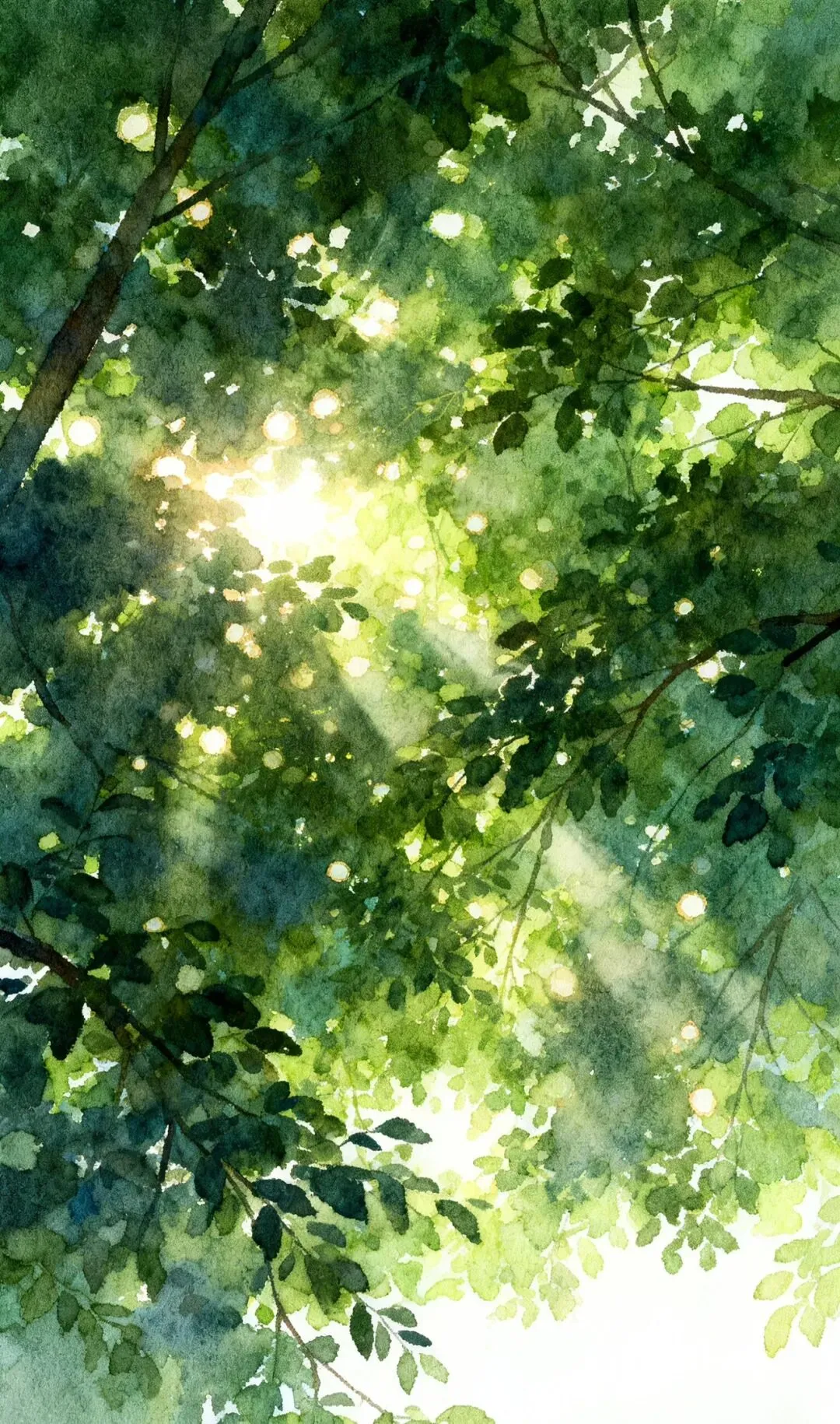 仲夏长歌
