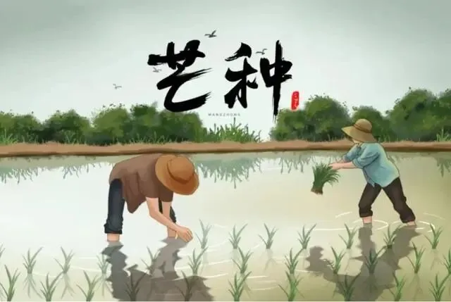七律 芒种之歌(两首)