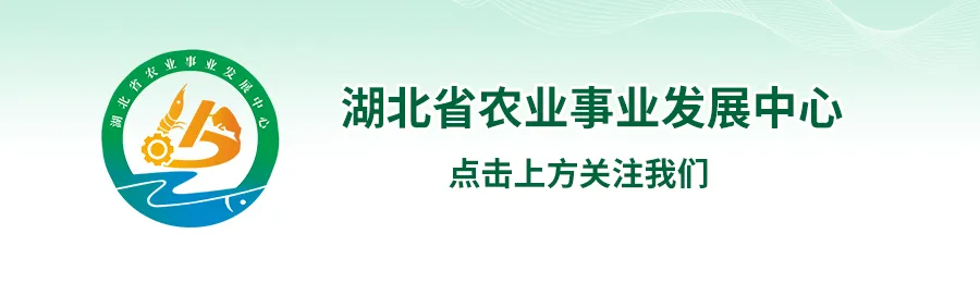 恩施:高山起“渔”歌