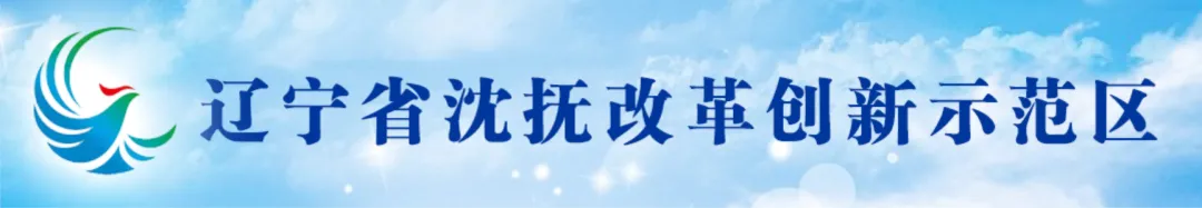 “这首歌唱得真带劲儿!”辽报点赞沈抚示范区原创歌曲 《东北人的世界杯》
