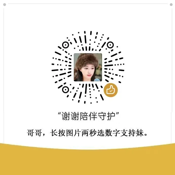 我听过你的歌,我的大哥哥
