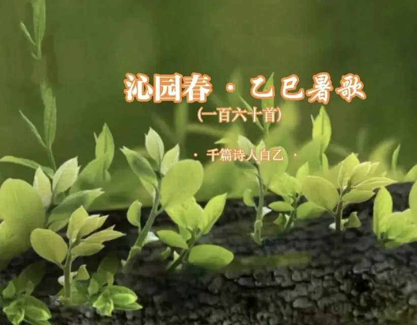 《沁园春 · 乙巳暑歌》(160-30)