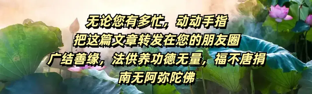 梵音丨佛歌《三世因果歌》