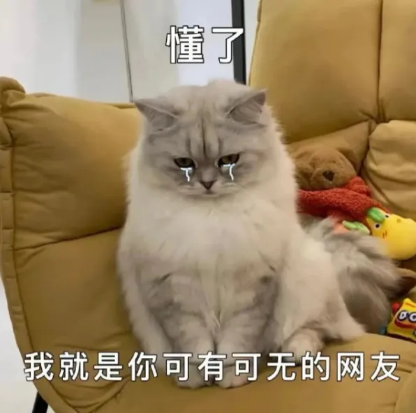 张月方停止浪姐选歌!一首那英的老歌,把节目组最丑的赛制撕开了