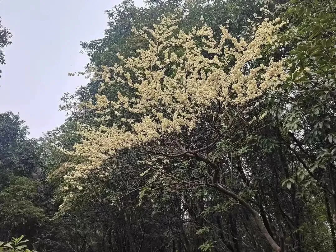 12首怀旧经典老歌,60后70后重温那个时代,一起去聆听
