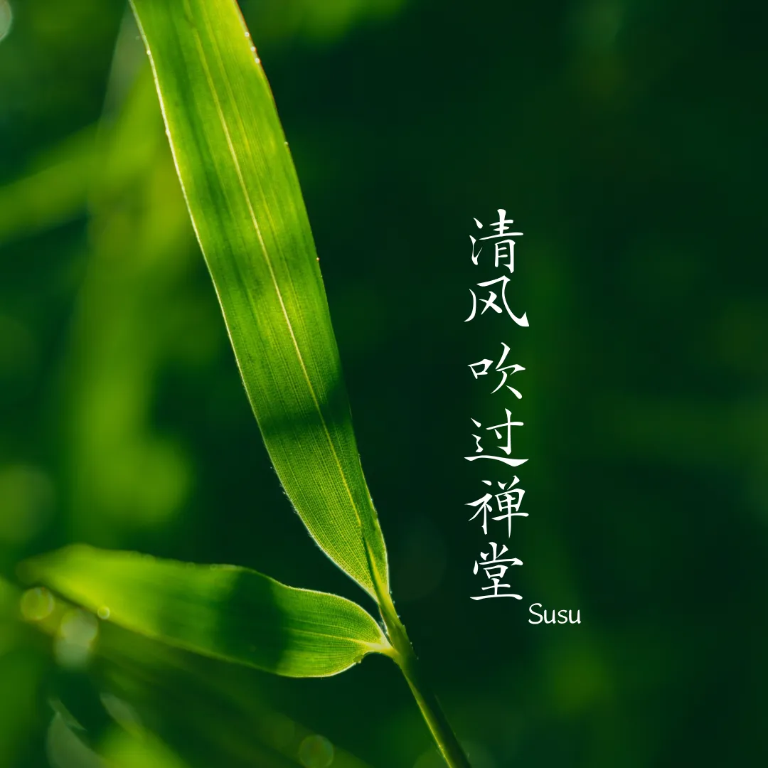 闻喜之歌 | 《清风吹过禅堂》
